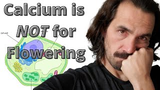 Is Calcium Good for fruiting stage