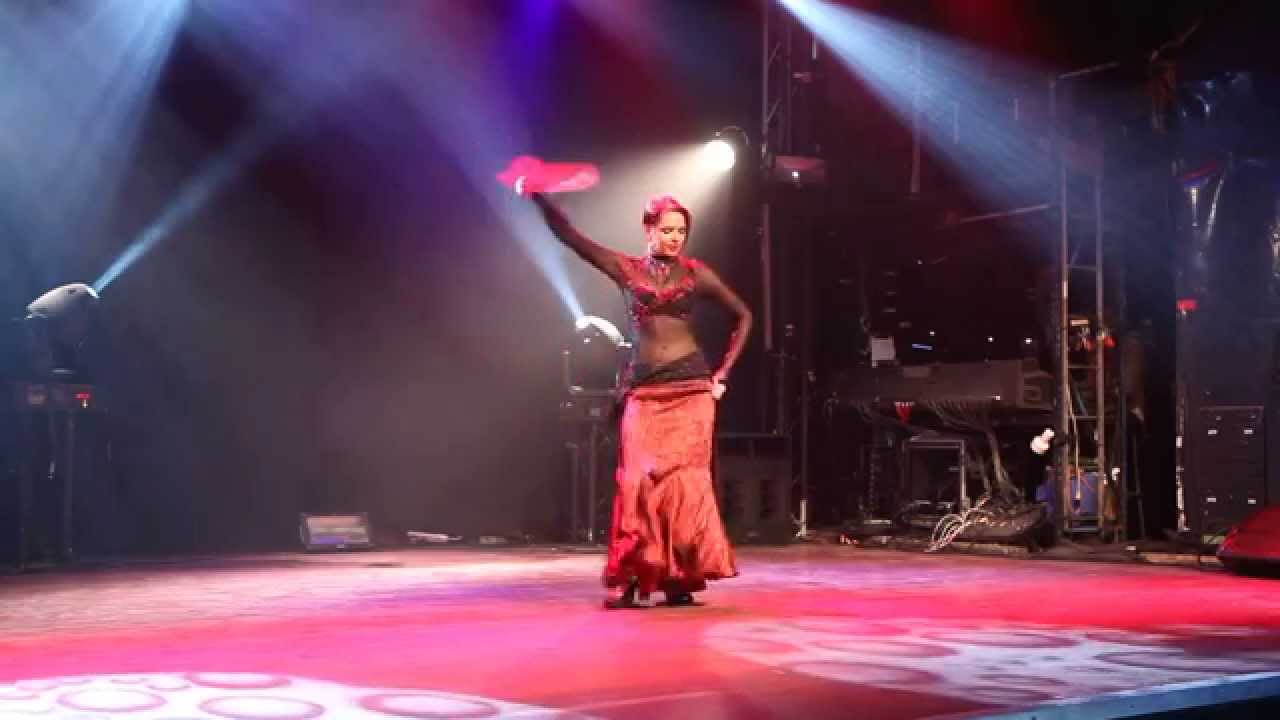 Star Bellydancer Canada 2014 - WINNER Iana - Fusion, Belly dance / Flamenco