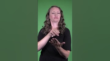 #30 🧐 Can you identify the sentence type? Wh-word question, yes/no question, or statement? #asl