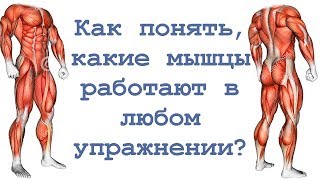 видео Какие мышцы работают при беге