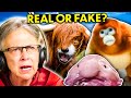 Can YOU Tell If These Animals Are Fake? | Real Vs. Fake Challenge! | React