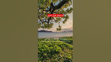 #تلاوة_خاشعة #قرآن #قران_كريم