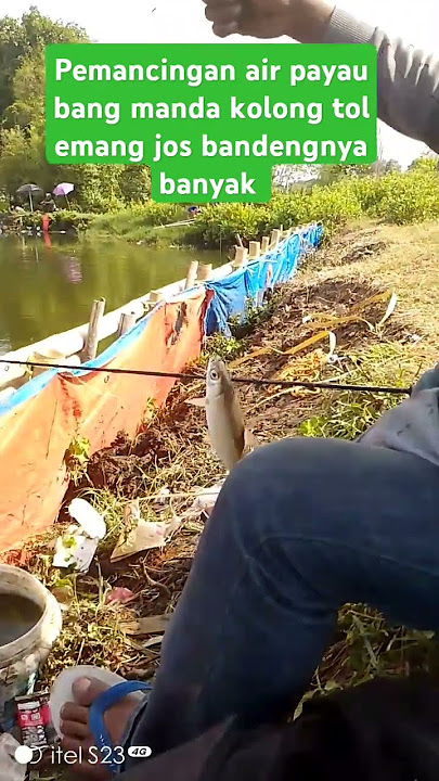 Mancing Marunda kolong tol ,Empang bang Manda #fishing #mancing #ikan #bandeng #ikanmujaer