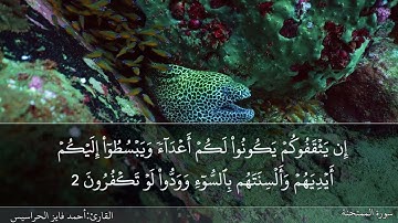 الصفحة 549 سورة الممتحنة بصوت القارئ المهندس أحمد فايز الحراسيس
