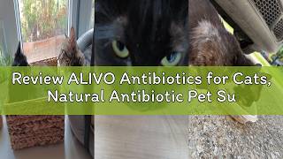 Review ALIVO Antibiotics for Cats, Natural Antibiotic Pet Supplements Supports Immune & Cats Allergy