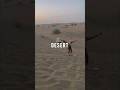 Desert Tour🌵🐪 #shortsviral  #youtubeshorts #dubai #solotravel #viral