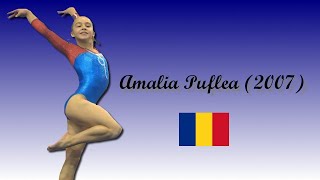 Amalia Puflea (2007), Roumanie