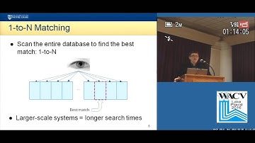 Analysis of 1-to-First Matching in Iris Recognition
