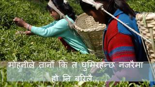 Video thumbnail of "Hitko Maya Bhetai Bhayo.... By Pandav Sunuwar, Ram Thapa"