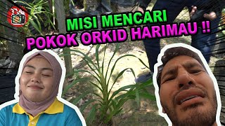 KEJUTAN HARIMAU !! DATO BELI ORKID PALING RARE DEKAT DUNIA -TV Terlajak Laris