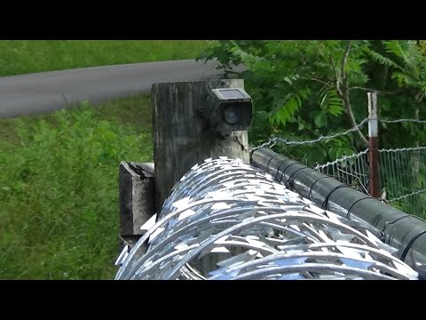 Wuloo Driveway Alarm Review Part Two: A Final Look