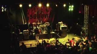 Saliva Black Sheep Live @ The Diesel Saliva Black Sheep Live Cardinal Bands Billiards 11 16 14