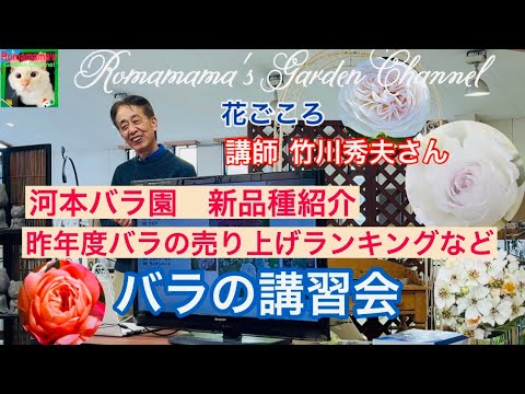 Rose Cultivation] Introducing the annual rose sales rankings