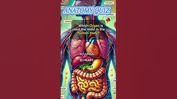 How many of them did you get right? #quiz #trivia #challenge