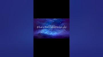 ✨ سورة مريم | الآية 6 | احفظ معنا كل يوم آية واحدة فقط 🌙