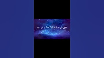 ✨ سورة مريم | الآية 6 | احفظ معنا كل يوم آية واحدة فقط 🌙