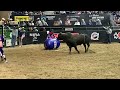 Bull riding never fails to be a crowd pleaser at the CNFR.