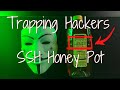 Trapping Hackers For 30 Days - SSH Honey Pot