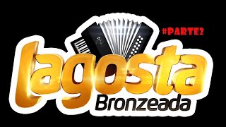 Lagosta Bronzeada Baú Alta Qualidade Médios Topados #parte2