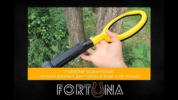 PulseDive Scuba Pointer - лучший вариант для поиска в воде и не только