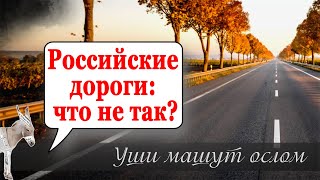 Российские дороги: что не так? | Уши машут ослом (119)