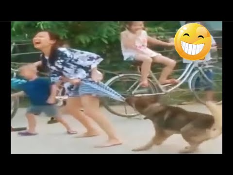 Random Funny Videos |Try Not To Laugh Compilation | Cute People And ...