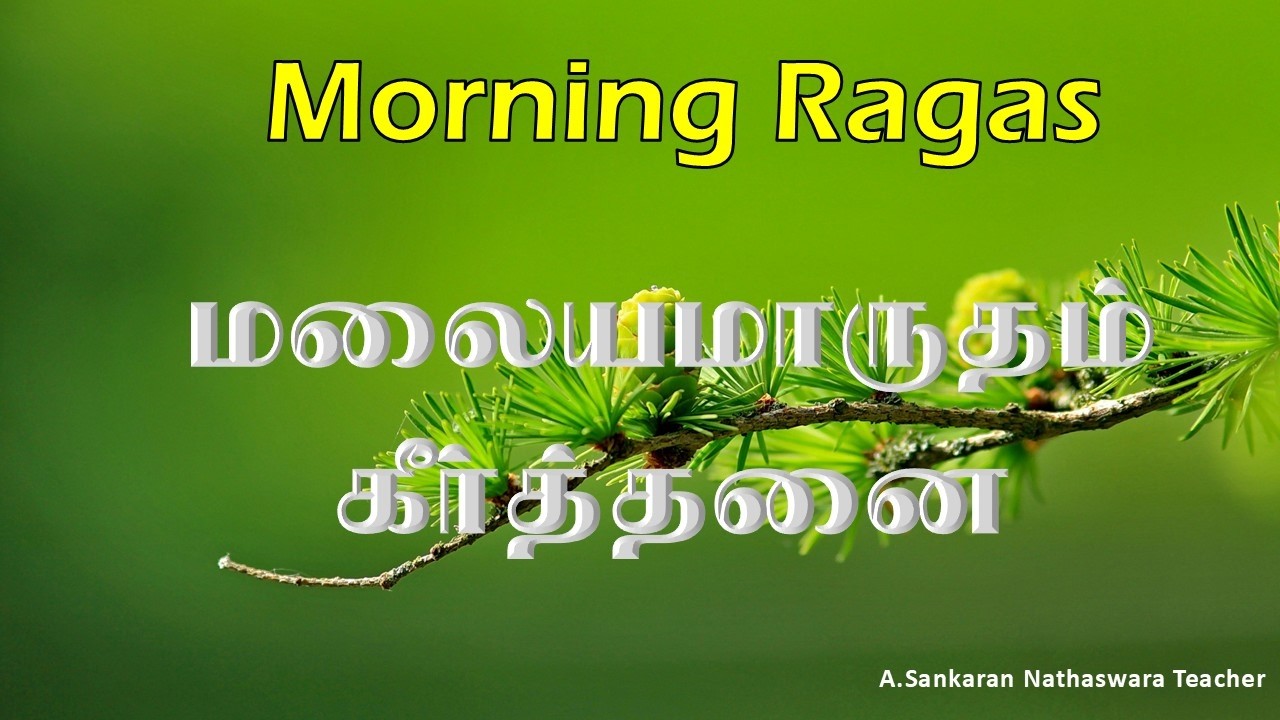 மனஸா எடுலோ | Manasa Edulo | Swaram Teaching Version | Carnatic Music Lesson