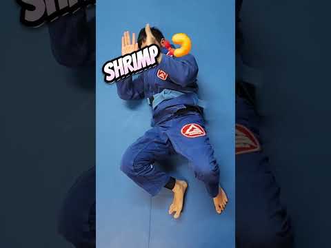 Gracie Barra Warm Up Tutorial