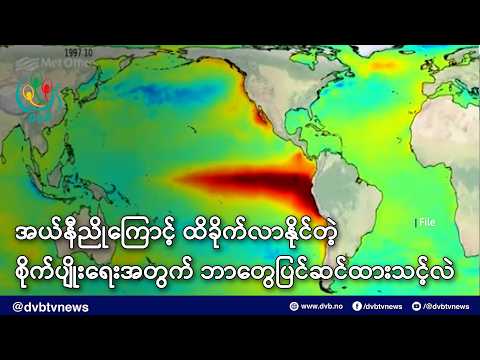 အယ်နီညိုကြောင့် ထိခိုက်လာနိုင်တဲ့ စိုက်ပျိုးရေးအတွက် ဘာတွေပြင်ဆင်ထားသင့်လဲ - DVB News