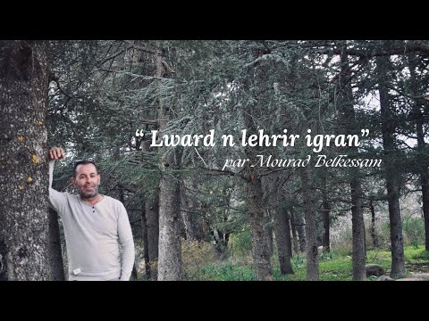 MOURAD BELKESSAM Lward N Lehrir Igran M Henna Ouzaid 