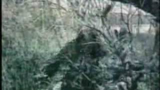 Watch Dreadful Shadows Homeless video