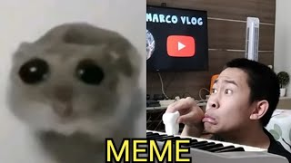 SAD HAMSTER VIOLIN MEME. by BRYAN MARCO VLOG 15,086 views 1 month ago 52 seconds