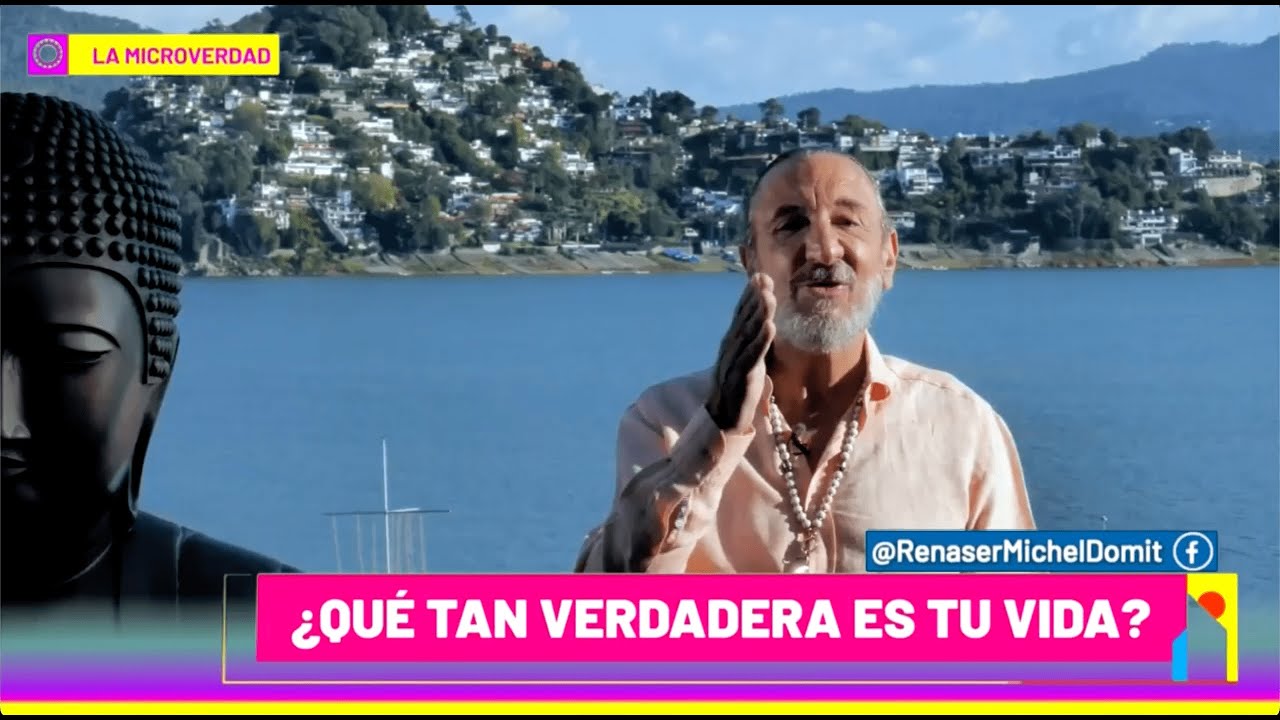 La micro-verdad | Michel Domit - Sale el Sol