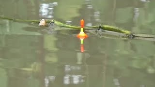TARIKANNYA MANTAP, STORY WA MANCING