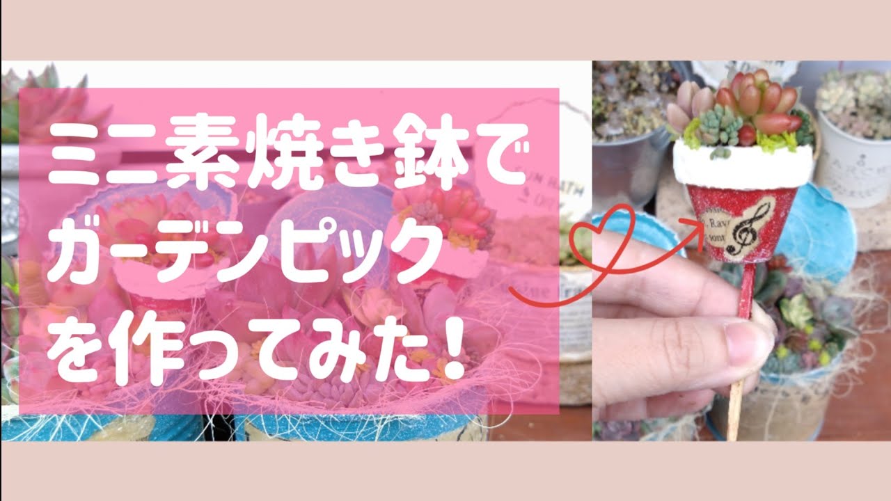 多肉植物】【ガーデニング】ミニ素焼き鉢でガーデンピックつくってみた 多肉植物】【ガーデニング】ミニ素焼き鉢でガーデンピックつくってみた