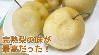 完熟梨を食べたら全く違う果物で感動した！