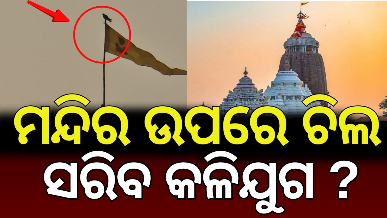 ପୁରୀ ମନ୍ଦିର ଉପରେ ଚିଲ | Eagle Seen Sitting on Nila Chakra of Jagannath Temple | Devotees Speculate