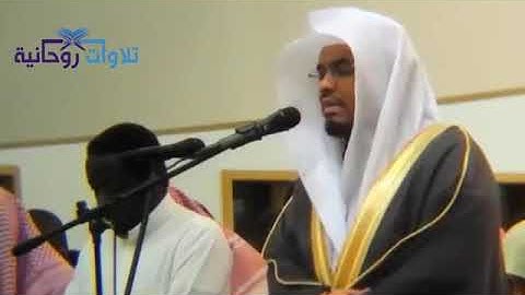 تلاوه عراقيه من سوره ال عمران الشيخ ياسر الدوسري