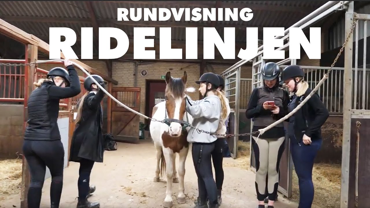 Ridelinjen - Rundvisning på Ølgod rideskole