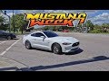 Mustang Week 2019 Pullouts!