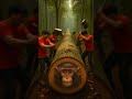 rescue mother monkey and babies from giant log #animals #funny #shorts