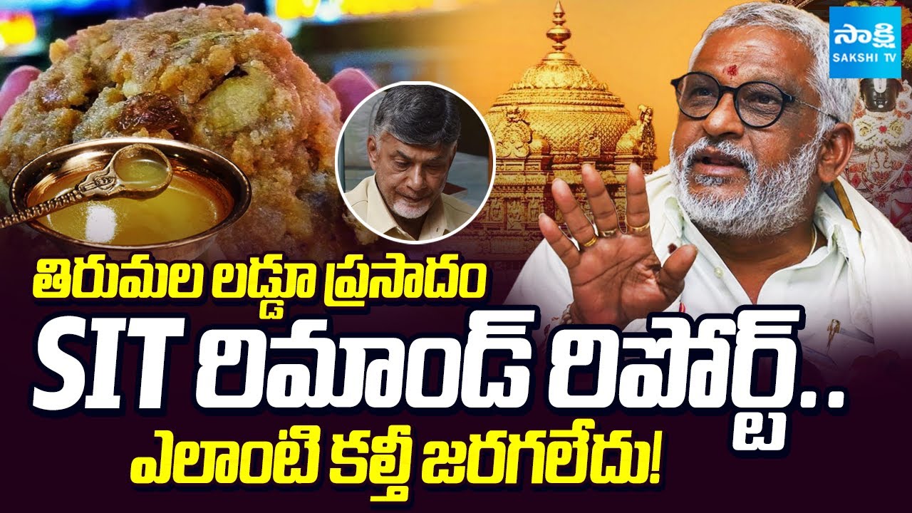 YV Subba Reddy Gives Full Clarity On Adulterated Ghee Controversy | సిట్ రిమాండ్ రిపోర్ట్
