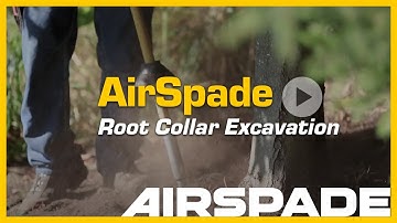AirSpade Root Collar Excavation