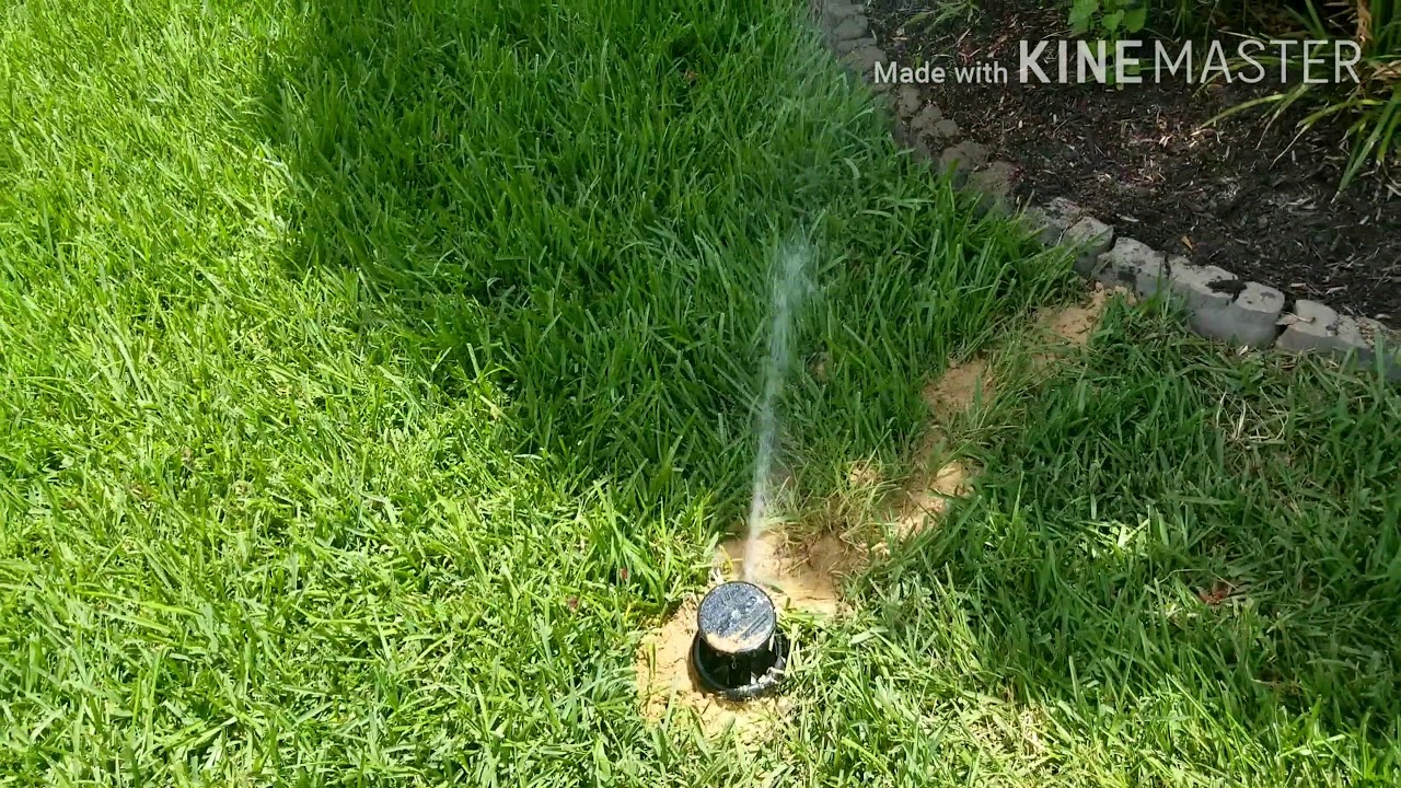 Rain Bird sprinkler system in small front lawn YouTube