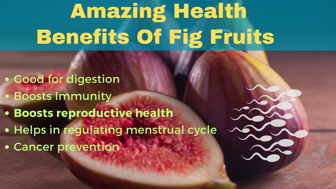 Health Benefits of Fig Fruit Blood Fat & Sugar level Control Prevents Cancer Cells Sperm