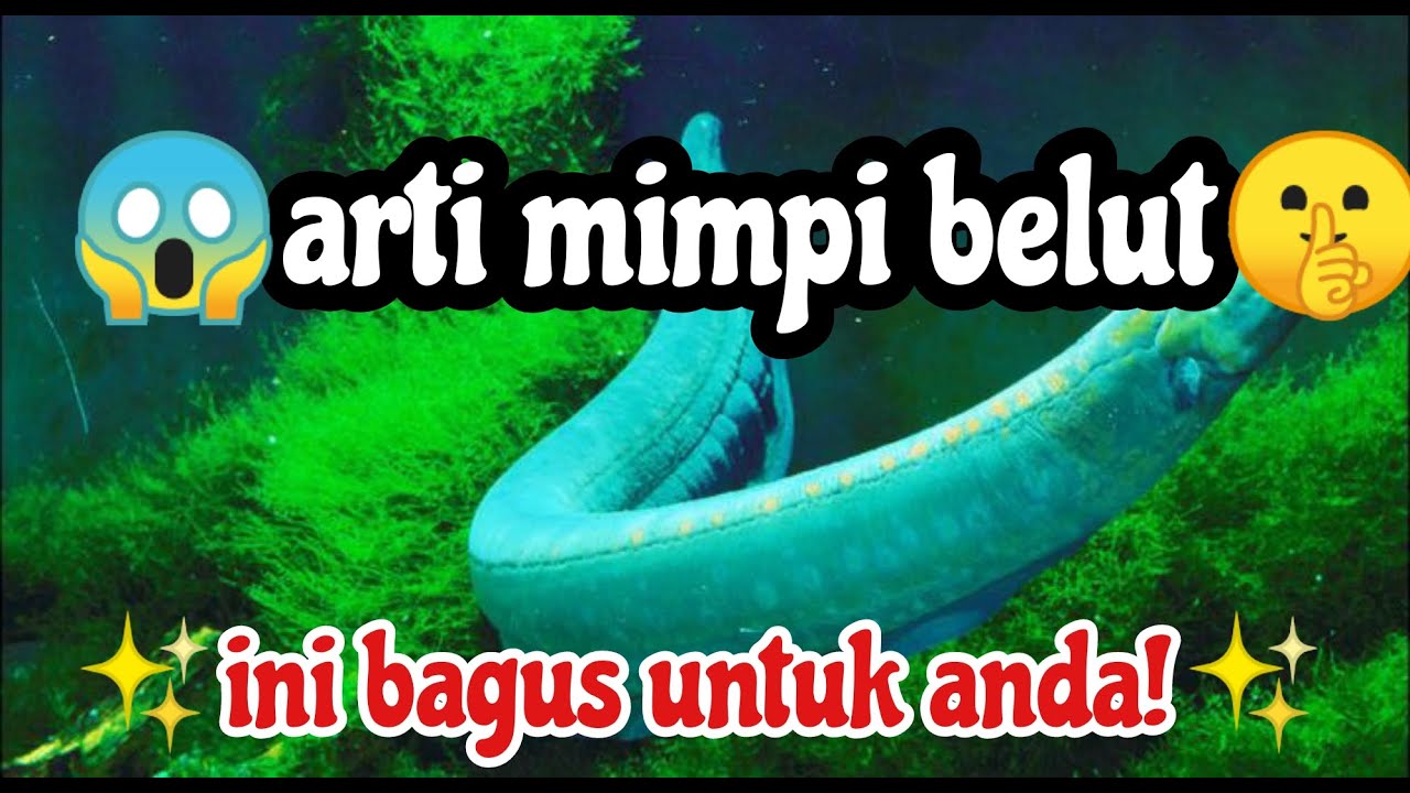 Arti Mimpi Belut, Tutorial Cara Menafsirkan Mimpi