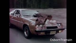 1976 Buick Skyhawk Commercial