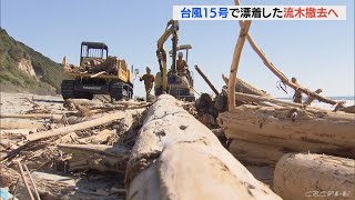 9月の台風15号で漂着した流木 愛知・豊橋市が撤去開始 刺し網漁などに影響(2022/10/20)
