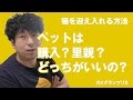 猫を飼う前に聞いてほしい、ペットショップと里親の話【GYグランプリ 土井】