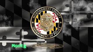 Detectives Investigate Theft from Auto Related Crimes in Olney